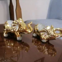 دوعدد فیل اماراتی طلایی.. قاب عکس