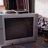 تلویزیون