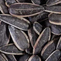 تخمه درجه یک