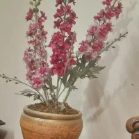 گل شب بو مصنوعی