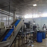 کارگر خط تولید مواد غذایی