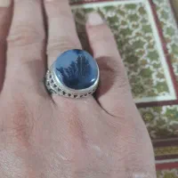 شجر قائنات