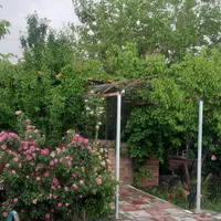 اجاره روزانه خونه باغ|اجارهٔ کوتاه‌مدت ویلا و باغ|پاکدشت, پاکدشت (مامازند)|دیوار