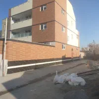 سفت کاری ..کاشی ..سیمان زنی و سیمانبری