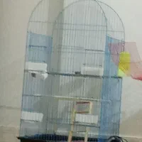 قفس بزرگ
