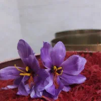 فروش مستقیم زعفران نگین سنتی قائنات کیلویی فقط 160