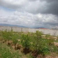باغ ویلا