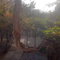 اجاره خانه ویلایی 500 متری ۵ خوابه در منجیل آباد|اجارهٔ خانه و ویلا|رباط‌کریم, منجیل آباد|دیوار