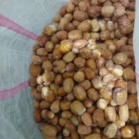 فروش سنجد بومی ارگانیک