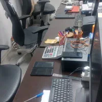 استخدام کارشناس تولید محتوا (خانم)