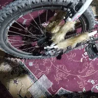 دوچرخه 26|دوچرخه، اسکیت، اسکوتر|خرمشهر, |دیوار