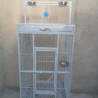 قفس بزرگ . کاسکو . و طوطی