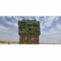 یونجه خشک انباری|حیوانات مزرعه|پیر سلیمان, |دیوار