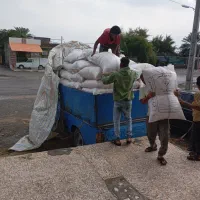 سبوس گندم رودان میناب