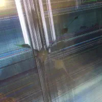 تلوزیون ۴۳ ال جی ( پنل شکسته )|تلویزیون و پروژکتور|ری, شهرک نظامی|دیوار