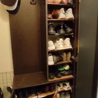 جا کفشی چراغ دار|جاکفشی، کمد، دراور|بروجرد, |دیوار