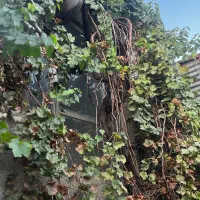 فروش خانه‌وحتی اجاره