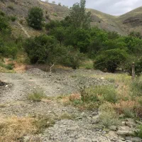 محله-زشک100-متر-زمین-باغ150-میلیون-اقساط