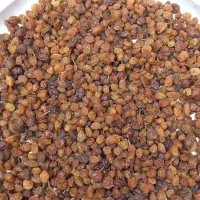 کشمش درگز|خوردنی و آشامیدنی|مشهد, توس فردوسی|دیوار