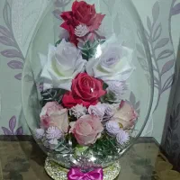 باکس گل نو نو