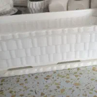 ۲ عددگلدان پلاستیکی معاوظه باگل طبیعی