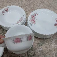 آرکوپال|ظروف سرو و پذیرایی|اسلامشهر, شهرک مهدیه|دیوار