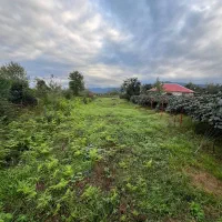 زمین-مسکونی-1000متری-در-تالش