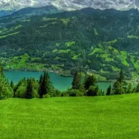 سم پاشی و کود پاشی