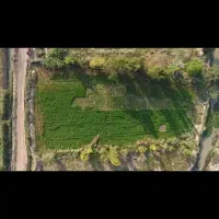 ۴ هزار متر زمین