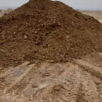 کود گوسفند