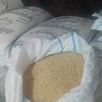 برنج کامفیروزی|خوردنی و آشامیدنی|شیراز, فرهنگ شهر|دیوار