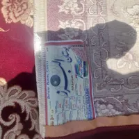 قالی ۱۲ متری فقط یکماه استفاده شده|فرش|جهرم, |دیوار
