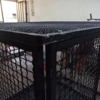 کفتر گنجه|لوازم جانبی حیوانات|رباط‌کریم, رباط‌کریم|دیوار