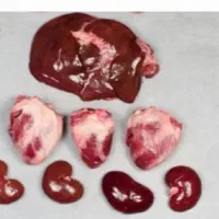 پخش جگر گوسفندی آلایش