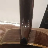 گیتار کلاسیک بلژیکی استگ C548|گیتار، بیس، امپلیفایر|تهران, شهرک دریا|دیوار