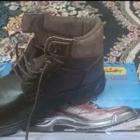 کفش بهشتیان