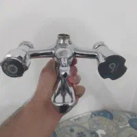 شیر حمام همراه علم