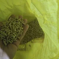 دان کنسانتره و خوراک دام و طیور