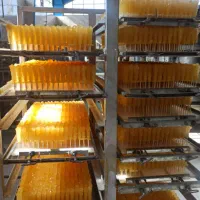 تولید و عرضه نبات|عمده‌فروشی|تویسرکان, |دیوار