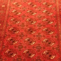 گلیم|گلیم، جاجیم، گبه|مشهد, مصلی (کارمندان اول)|دیوار