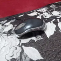موس کامپیوتر