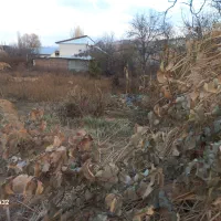 فروش باغ داخل بافت دو نبش|فروش زمین و ملک کلنگی|طالقان, |دیوار