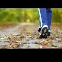 پارتنرپیاده روی