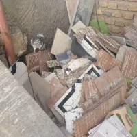 9تا کفتر زیر قیمت|پرنده|بافت, |دیوار