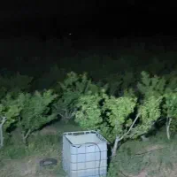 باغ طرح عمان ۳۵۰۰ متر خوش جا|فروش دفتر صنعتی، کشاورزی، تجاری|سامان, |دیوار