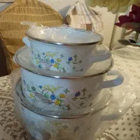 سلام یه سرویس چینی پیرکس فرانسه