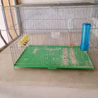 قفس قناری و پران|لوازم جانبی حیوانات|شاهین‌شهر, خانه کارگر|دیوار