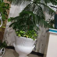 باغ