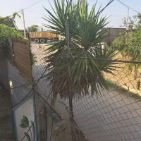 گل و گیاه