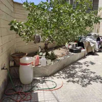 خانه ویلایی اجاره ای|اجارهٔ خانه و ویلا|تهران, حکیمیه|دیوار